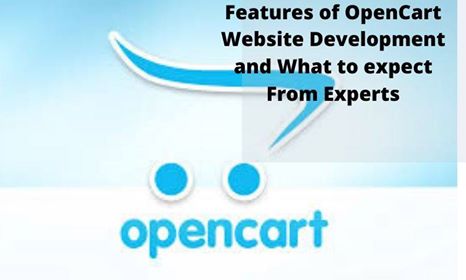 Opencart website