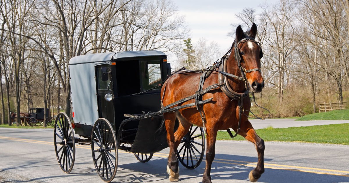 Amish Oil Change The Strange Slang Term Explained Get Fast