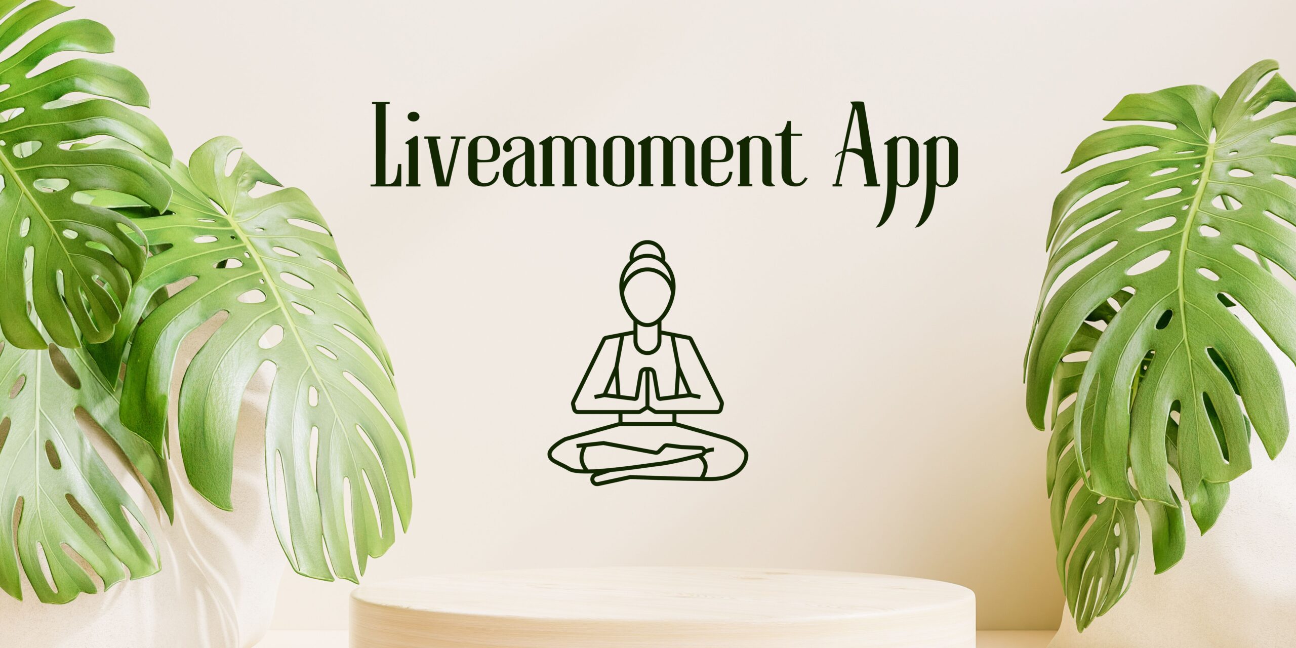 Liveamoment App